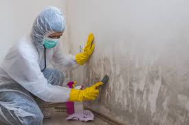 Best Real Estate Mold Inspection  in Cherry Creek, CO